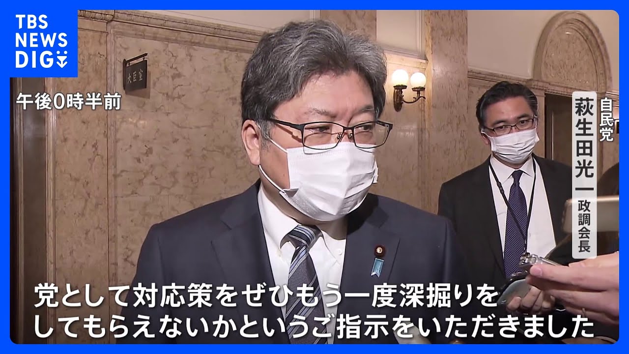 岸田総理が与党政調会長に物価高対策を指示　再来週までに提言求める「もう一度深掘りを」｜TBS&nbsp;NEWS&nbsp;DIG