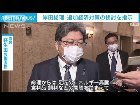岸田総理が追加経済対策の検討を指示　与党の政調会長に(2023年3月3日)