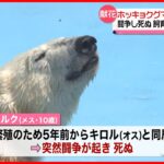 【ホッキョクグマ「ミルク」】死を悼み献花台 釧路市動物園