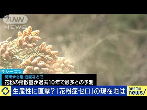 生産性に直撃？「花粉症ゼロ」公約も…対策の現在地(2023年3月3日)