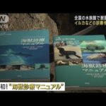 国内初!イルカなどに特化した「海獣診療マニュアル」完成　背景に専門医師不足(2023年3月4日)