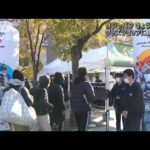 侍ジャパン阪神と強化試合　球場周辺に多くのファン(2023年3月6日)