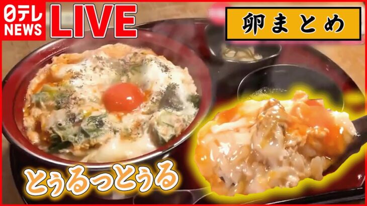 【たまご料理まとめ】揚げたてとんかつにふわとろ卵 / 具たっぷりたまごサンド/出汁の深みがすごい究極の親子丼（日テレNEWS LIVE）