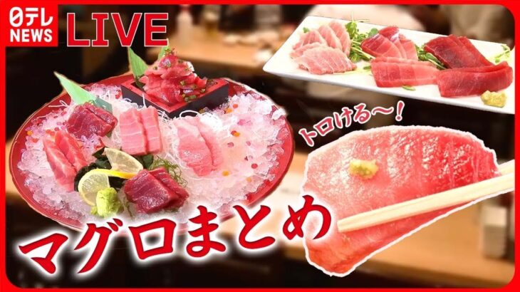 【マグロまとめライブ】町でウワサのマグロ料理が大集合！/マグロづくしのランチ/メニューはマグロ丼だけ！マグロ丼専門店　など（日テレNEWSLIVE）