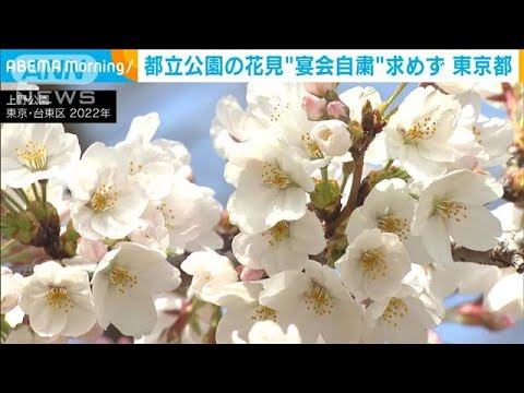 上野公園など都立公園での花見宴会　今年は自粛求めず(2023年3月8日)