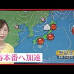 【天気】晴れて日差したっぷり 空気の乾燥に注意