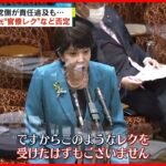 【放送法めぐる“行政文書”】野党側が責任追及も… 高市氏“官僚レク”など否定