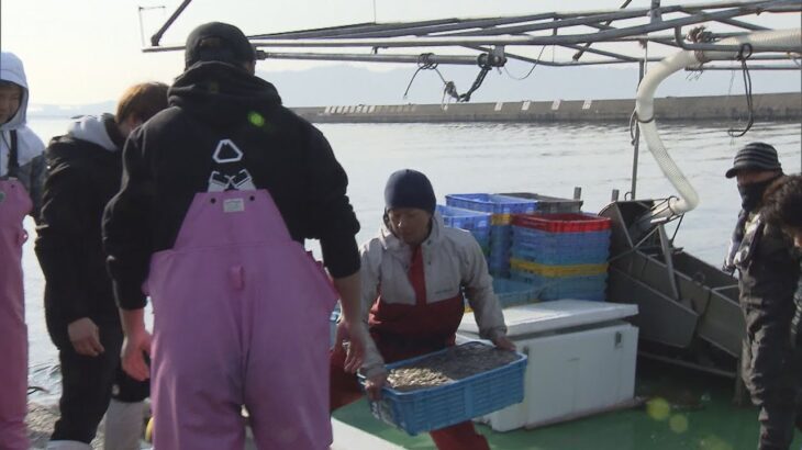 大阪湾のイカナゴ漁、実質４日間で打ち切り　漁獲量が振るわず、資源保護のため　播磨灘での漁は継続