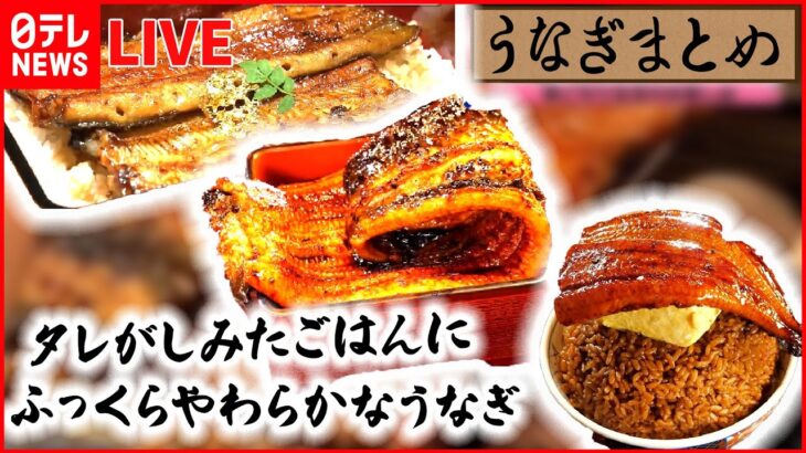 【うなぎまとめ】ニンニクマシマシのうな重！　常連客の言葉をヒントに… / 秘伝のタレにつけたふっくらやわらかうな重 / うなぎ × 厚焼き玉子でド迫力うな丼　など（日テレNEWS LIVE）