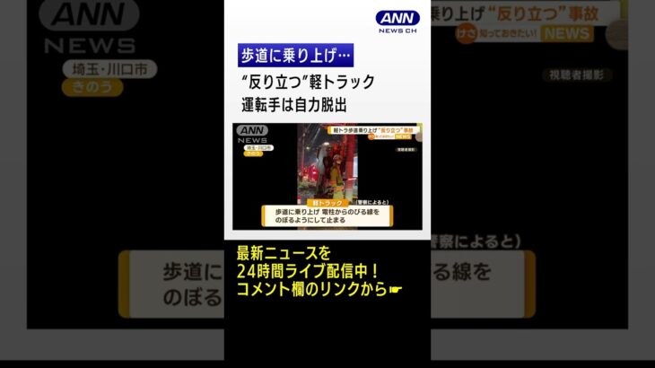 歩道に乗り上げ…“反り立つ”軽トラック　運転手は自力脱出　けがなし　埼玉(2023年3月10日)#shorts