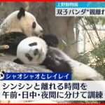 【上野動物園】双子パンダ “親離れ訓練”始まる