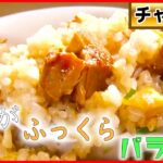 【チャーハン一気見】ボリュームたっぷり具だくさん五目チャーハン/特大唐揚げ3つ！チキンチャーハン/美しい玉子焼きがおおう美味チャーハン　など