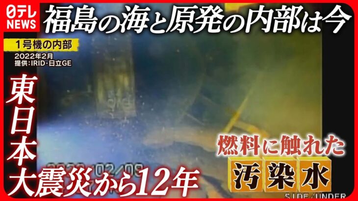 【迫る“処理水”の放出…】風評被害の再発で「心が折れる可能性も」　福島の豊かな海と原発の内部は今