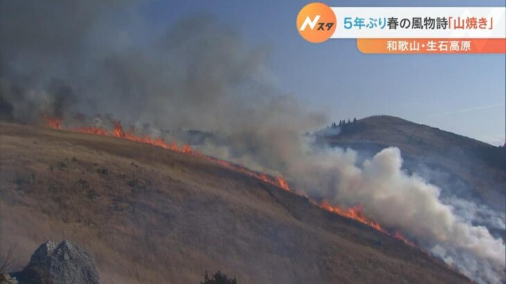 ススキの草原広がる観光地「生石高原」　５年ぶりに春の風物詩『山焼き』　和歌山県（2023年3月12日）