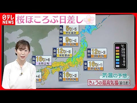 【天気】桜ほころぶ日差し 東北～九州は花粉の飛散が非常に多く