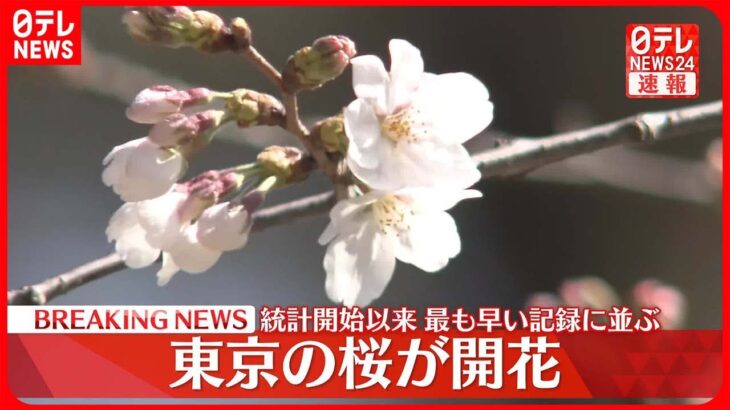 【東京の桜開花】統計開始以来最も早い記録