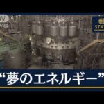 次世代エネルギーの切り札　政府“核融合”国家戦略案を示す(2023年2月28日)