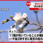 【東京の桜】全国でトップ “最も早い開花”なぜ？ 靖国神社から中継