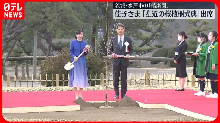 【佳子さま】“皇室ゆかりの桜”植樹式に出席 茨城・偕楽園