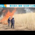 春の訪れ…箱根・仙石原で枯れススキを焼き払う“山焼き”(2023年3月17日)