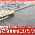 【速報】東京湾に油“流出”東京消防庁などが対応　ケガ人や周辺で船舶に異常発生などの情報なし