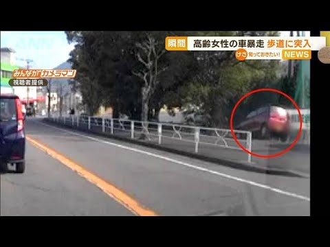 高齢女性の“車暴走”　歩道に突っ込み…木に激突「後方からアクセルふかした音」(2023年3月17日)