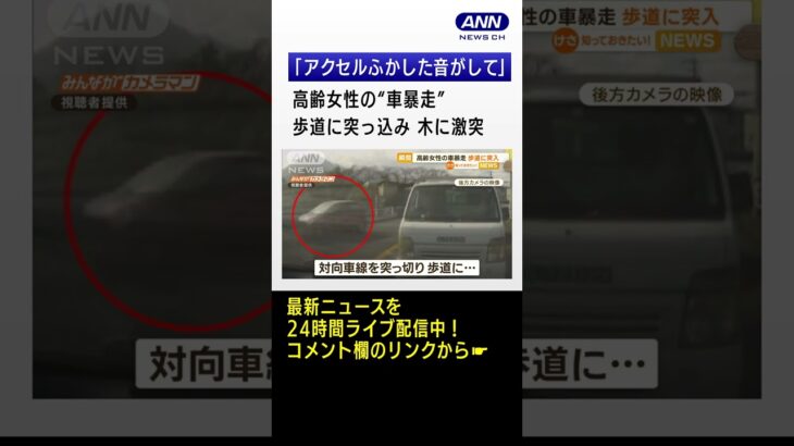 高齢女性の“車暴走”　歩道に突っ込み…木に激突「後方からアクセルふかした音」 #Shorts