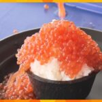 王道のイクラやマグロにホッキ貝！　万博記念公園で日本最大級の魚介フェス開幕　３月２１日まで