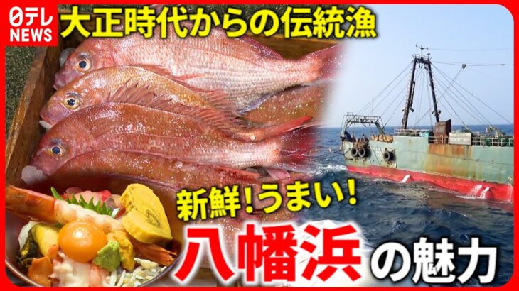 【大漁】あの高級魚も！美味い魚が集まる八幡浜 伝統の”トロール漁”　愛媛　NNNセレクション