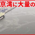 【東京湾】ナゾの大量の油 ガソリンなどの燃料油か