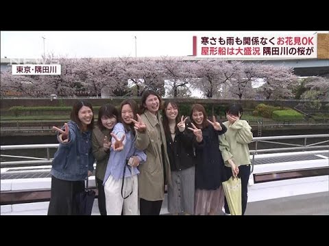 “海に浮かぶ料亭”予約は去年の5倍!　屋形船から桜の絶景　スカイツリーと美の競演(2023年3月26日)