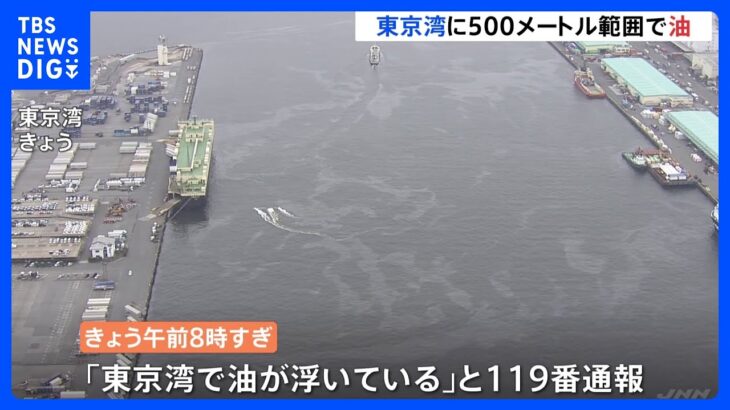 東京湾で油流出 近くには船 約500メートルの範囲 江東区や大田区｜TBS NEWS DIG