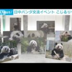 パンダが日中友好に貢献 交流イベントに「こじるり」登場(2023年3月18日)