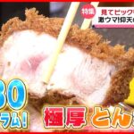 【厚切りグルメ】とんかつ＆ハムカツ＆焼豚！”映え”も味も満点メニュー『every.特集』