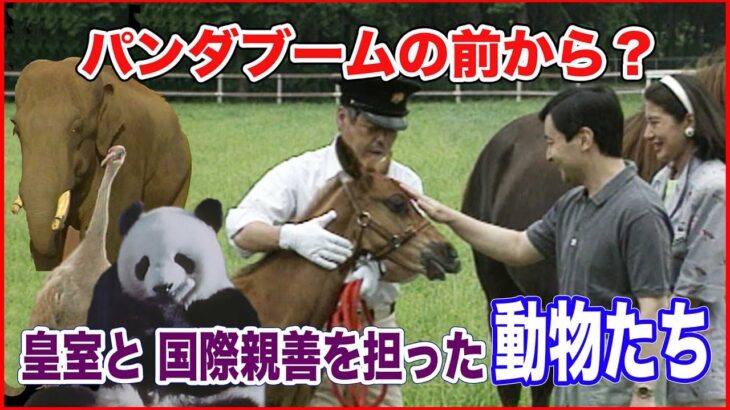 パンダやゾウ・ツル・馬… 皇室と国際親善を担った動物たち【皇室 a Moment】