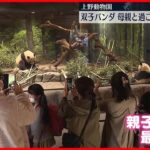 【最後の日】上野動物園の双子パンダ、母親と過ごす最後の観覧日　多くのファン訪れる