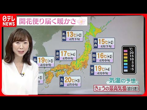 【天気】開花便り届く暖かな日に…夕方以降は西日本中心に雲広がり九州は雨も