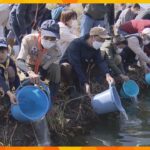 由良川でサケの稚魚３万匹放流　戻るのは３～４年後、１０００匹に１匹程度　京都・綾部市