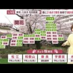 【全国の天気】早いペースで桜開花　今年は見頃と悪天候重なる恐れ(2023年3月20日)