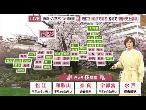 【全国の天気】早いペースで桜開花　今年は見頃と悪天候重なる恐れ(2023年3月20日)