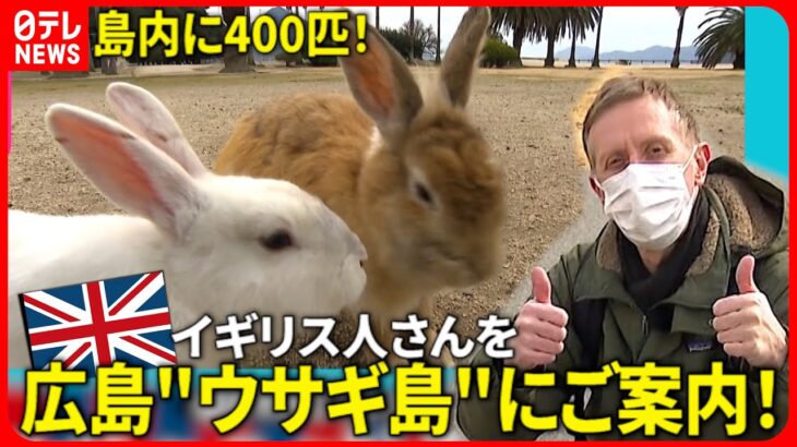 【広島弁】外国人さんに”ウサギの島”を教えちゃろう！英語編　NNNセレクション