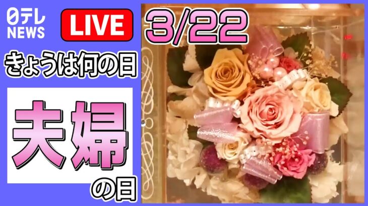 【きょうは何の日】『夫婦』の日 ――夫婦二人三脚の町中華 2人の愛情が隠し味　など ニュースまとめライブ（日テレNEWS LIVE）