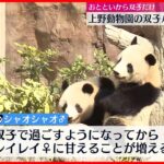 【双子パンダ】「親離れ」 シャオシャオはレイレイに甘え… 上野動物園