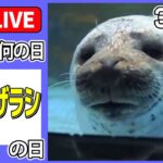 【きょうは何の日】国際アザラシの日 ーーアザラシの“団子3兄弟”　密着のワケ　など ニュースまとめライブ（日テレNEWS LIVE）