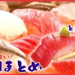 【寿司大特集】赤身しっとりトロさっぱり本マグロ3種にぎり/ほどよい上品な脂の中トロ/江戸前立ち食い寿司　など
