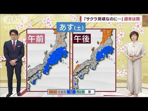 【全国の天気】サクラ見ごろなれど…満開の地で雨予報(2023年3月24日)