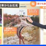 週末、東京の天気は”下り坂”　雨でも桜を楽しめるスポットとは｜TBS NEWS DIG
