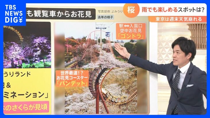 週末、東京の天気は”下り坂”　雨でも桜を楽しめるスポットとは｜TBS NEWS DIG