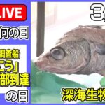 【きょうは何の日】『無人潜水調査船『かいこう』世界最深部到達』の日 ――深海生物ニュースまとめ：珍しい深海魚…“リボンイワシ”撮影成功 /「ホタルイカの身投げ」現象　など（日テレNEWS LIVE）