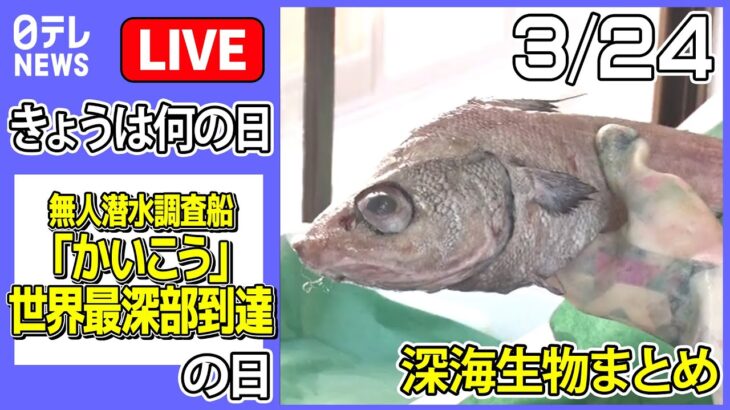 【きょうは何の日】『無人潜水調査船『かいこう』世界最深部到達』の日 ――深海生物ニュースまとめ：珍しい深海魚…“リボンイワシ”撮影成功 /「ホタルイカの身投げ」現象　など（日テレNEWS LIVE）